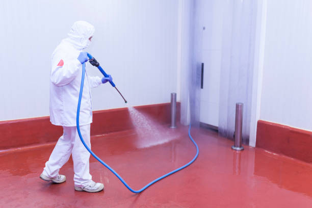Best Soft Washing for Delicate Surfaces in Endicott, NY
