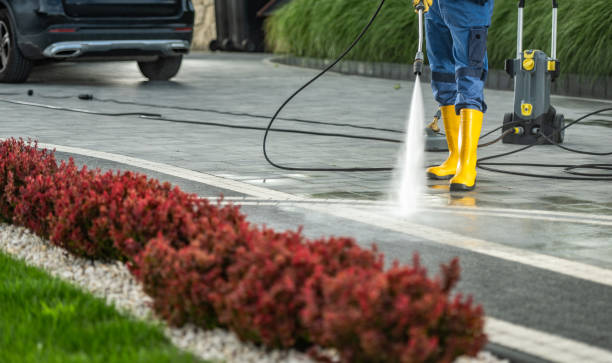 Best Window and Screen Pressure Cleaning in Endicott, NY
